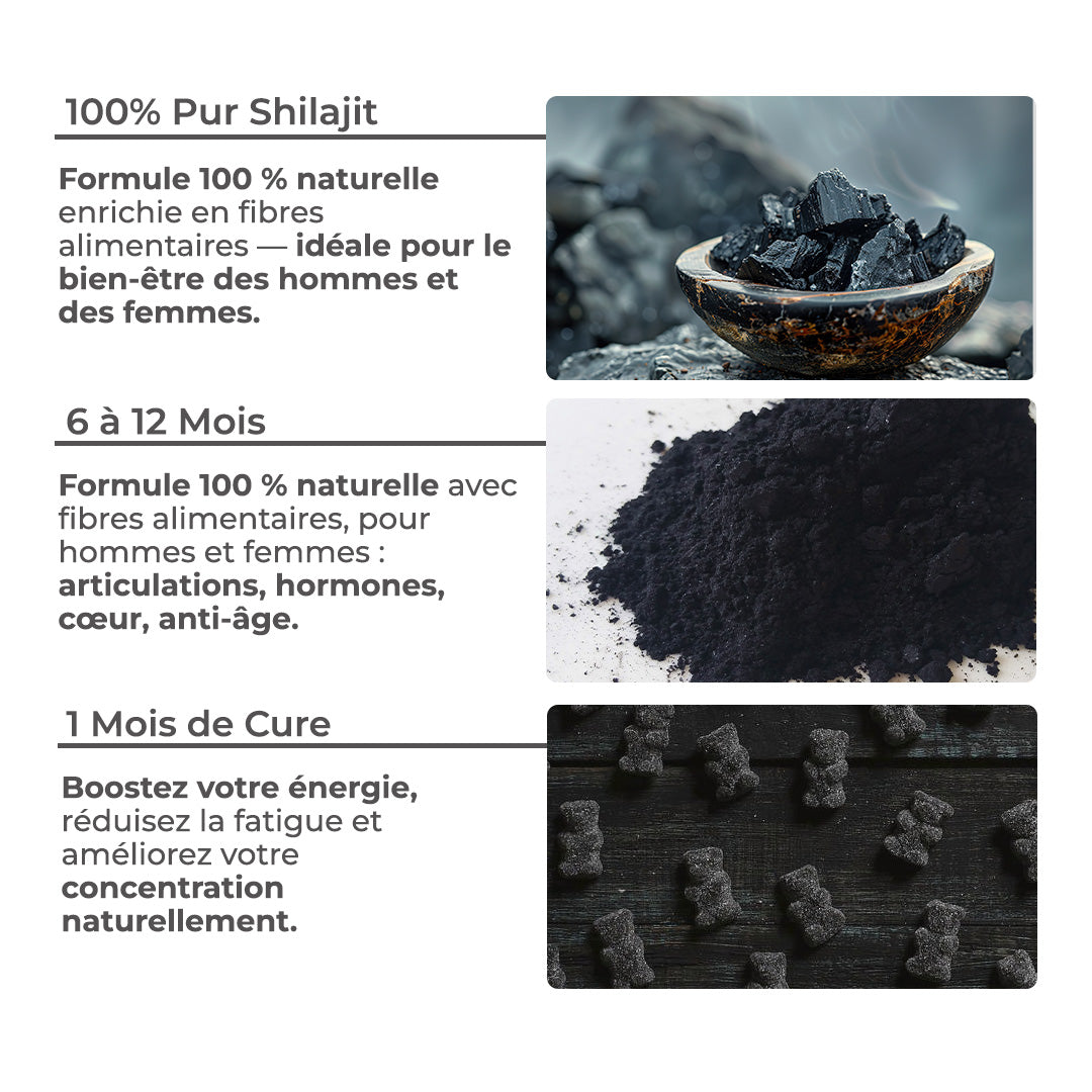 Pure Shilajit Gummies, Himalayan Shilajit, Rejuvenates and Boosts Energy, Fulvic Acid, Energy Boost and Immune Support for Men and Women, 100% Natural