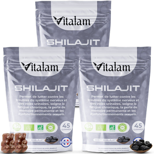Cure Regain Energie, Libido et Santé générale en 2 mois, Lot de 3 sachets - Gummies Shilajit Pur Bio, Shilajit Himalaya