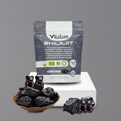 Gummies Shilajit Pur en Sachet, Shilajit Himalaya, Rajeunit et Boost l'énergie, Acide Fulvique, Énergie Boost et Soutien Immunitaire pour les hommes et les femmes, 100% Naturels