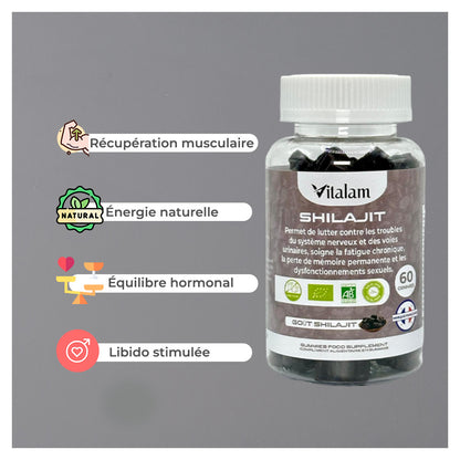 Pure Shilajit Gummies, Himalayan Shilajit, Rejuvenates and Boosts Energy, Fulvic Acid, Energy Boost and Immune Support for Men and Women, 100% Natural