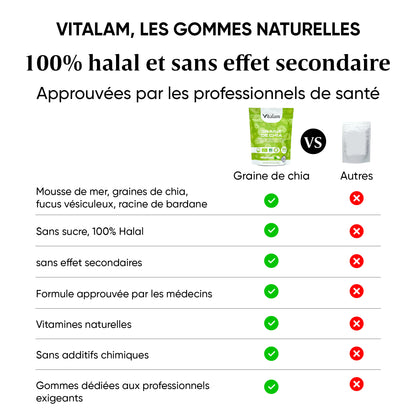 Gummies Graine de chia en sachet – Gummies Minceur & Perte de Poids Naturelle, Source de protéines - fibres - OMEGA 3