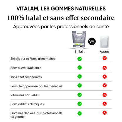 Gummies Shilajit Pur en Sachet, Shilajit Himalaya, Rajeunit et Boost l'énergie, Acide Fulvique, Énergie Boost et Soutien Immunitaire pour les hommes et les femmes, 100% Naturels