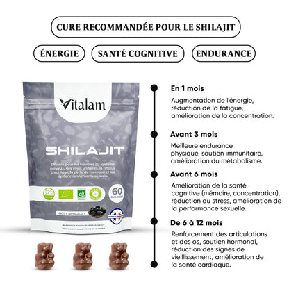 Gummies Shilajit Pur en Sachet, Shilajit Himalaya, Rajeunit et Boost l'énergie, Acide Fulvique, Énergie Boost et Soutien Immunitaire pour les hommes et les femmes, 100% Naturels