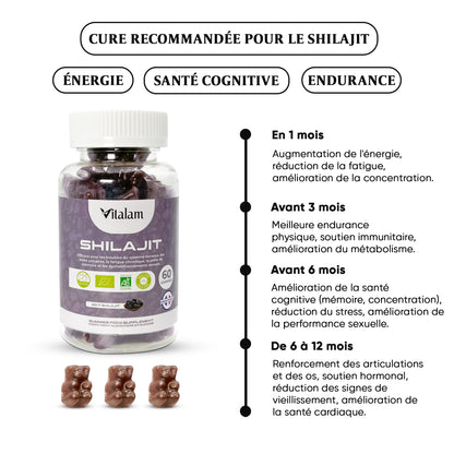 Pure Shilajit Gummies, Himalayan Shilajit, Rejuvenates and Boosts Energy, Fulvic Acid, Energy Boost and Immune Support for Men and Women, 100% Natural