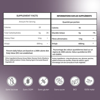 Gummies Shilajit Pur en Sachet, Shilajit Himalaya, Rajeunit et Boost l'énergie, Acide Fulvique, Énergie Boost et Soutien Immunitaire pour les hommes et les femmes, 100% Naturels