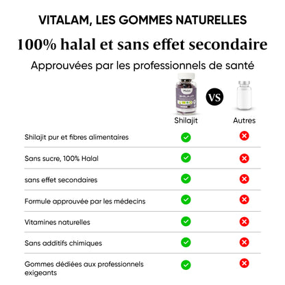 Pure Shilajit Gummies, Himalayan Shilajit, Rejuvenates and Boosts Energy, Fulvic Acid, Energy Boost and Immune Support for Men and Women, 100% Natural